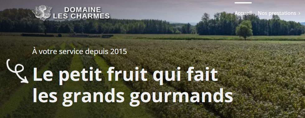 Image de la vente Cassis et groseilles