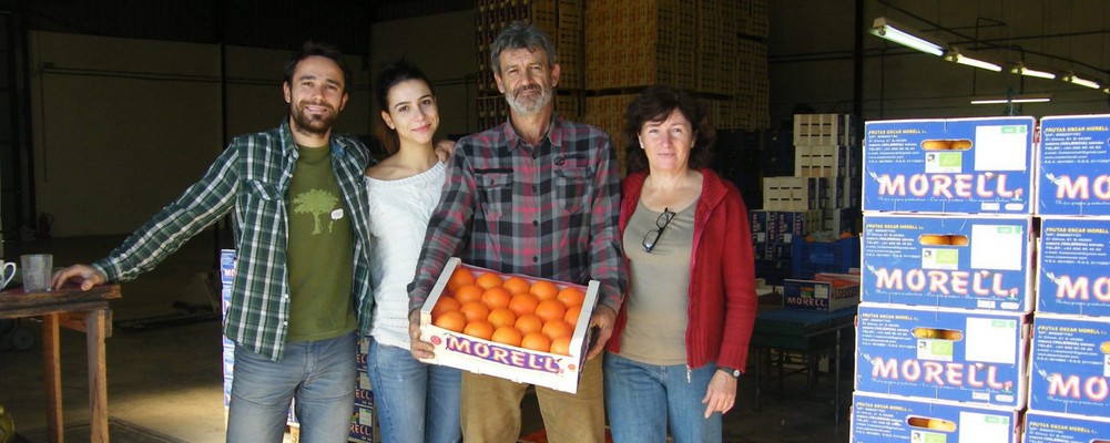 Image de la vente Oranges et clémentines (décembre)