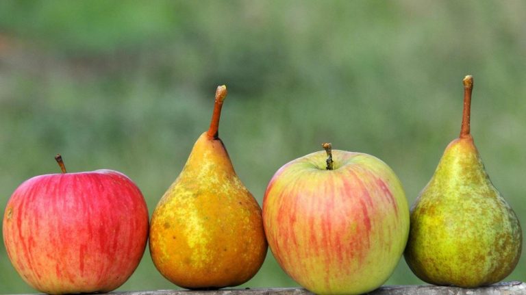 Image de la vente Pommes et poires