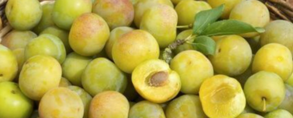 Image de la vente Prunes Reine Claude et Mirabelles