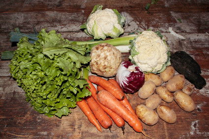 legumes